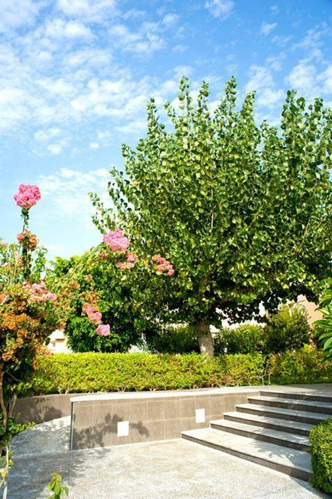 Alfa Hotel Apartments Gerani  Екстериор снимка